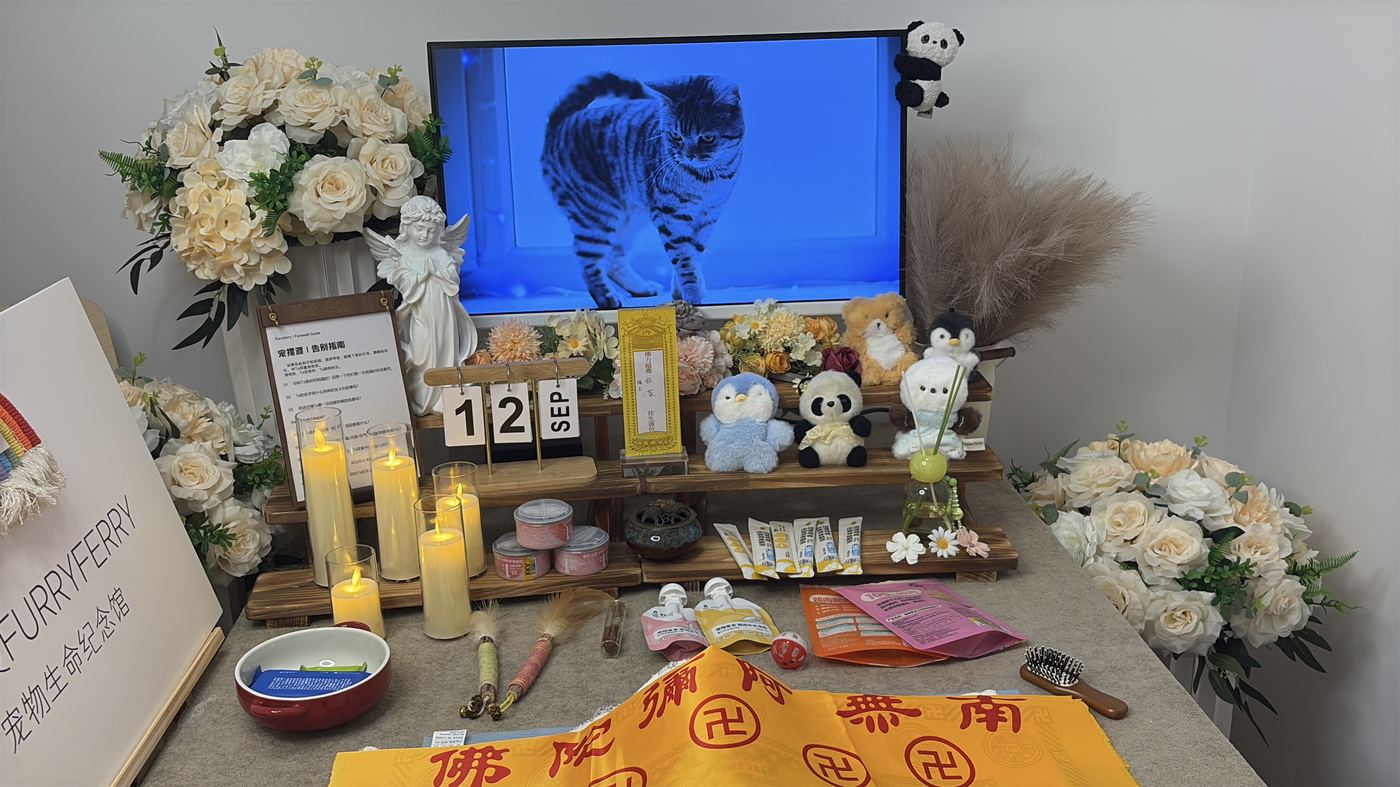 宠物纪念品怎么选？济南常见纪念方式盘点