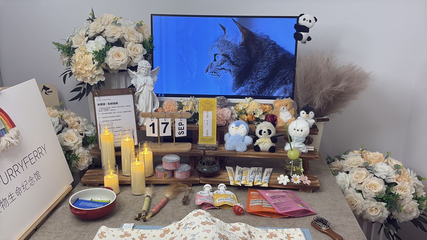济南宠物告别厅布置：如何给泉城家属一个体面的告别