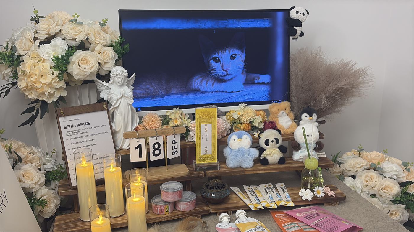 二、费用构成：逐项说明
